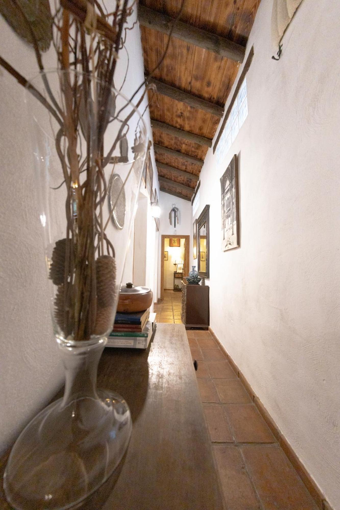 La Cuadra, Finca A Los Pies De Sierra Nevada, A 10 Minutos Del Centro, Piscina, Jardin, Barbacoa La Zubia  Eksteriør bilde
