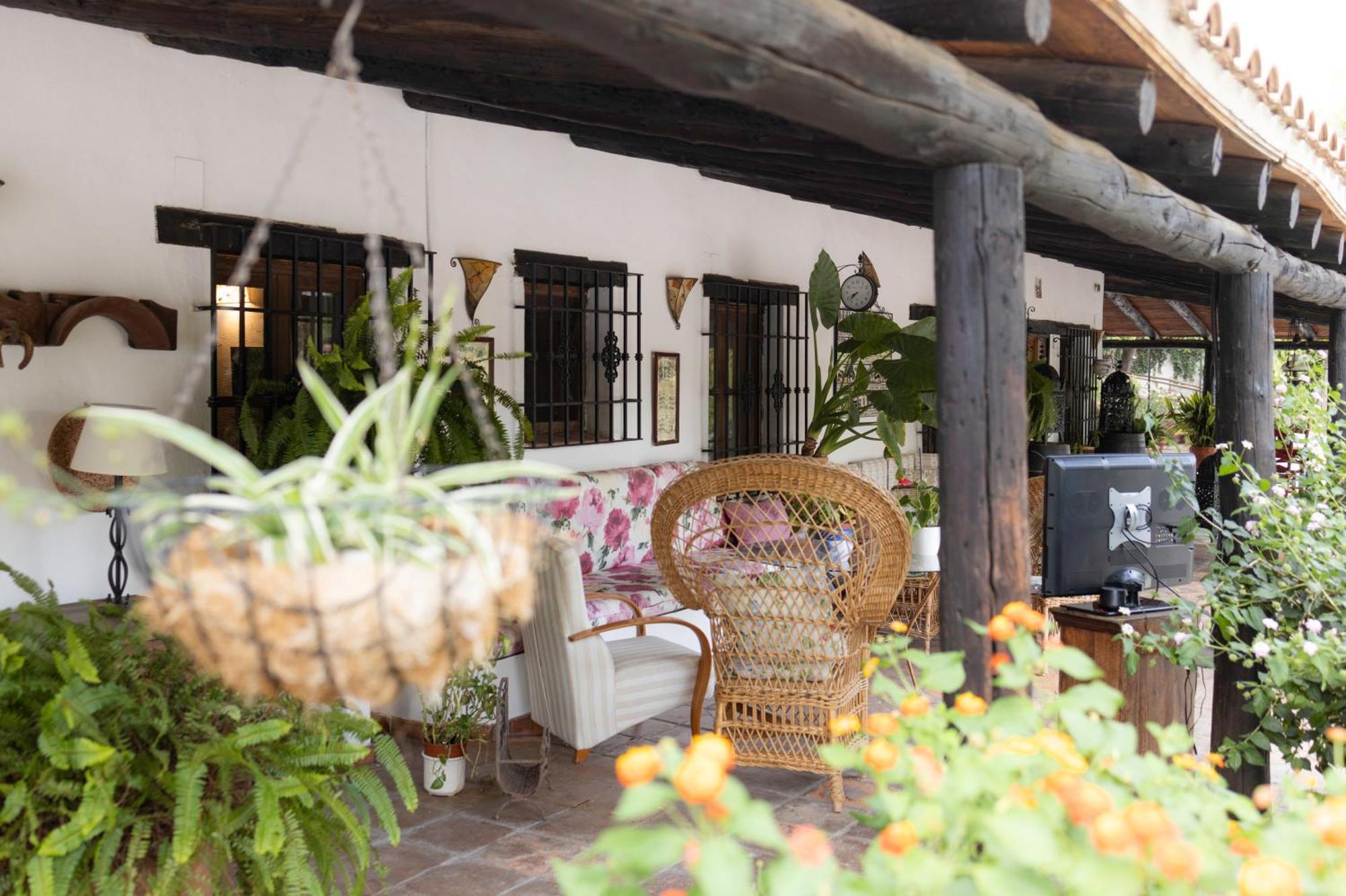 La Cuadra, Finca A Los Pies De Sierra Nevada, A 10 Minutos Del Centro, Piscina, Jardin, Barbacoa La Zubia  Eksteriør bilde