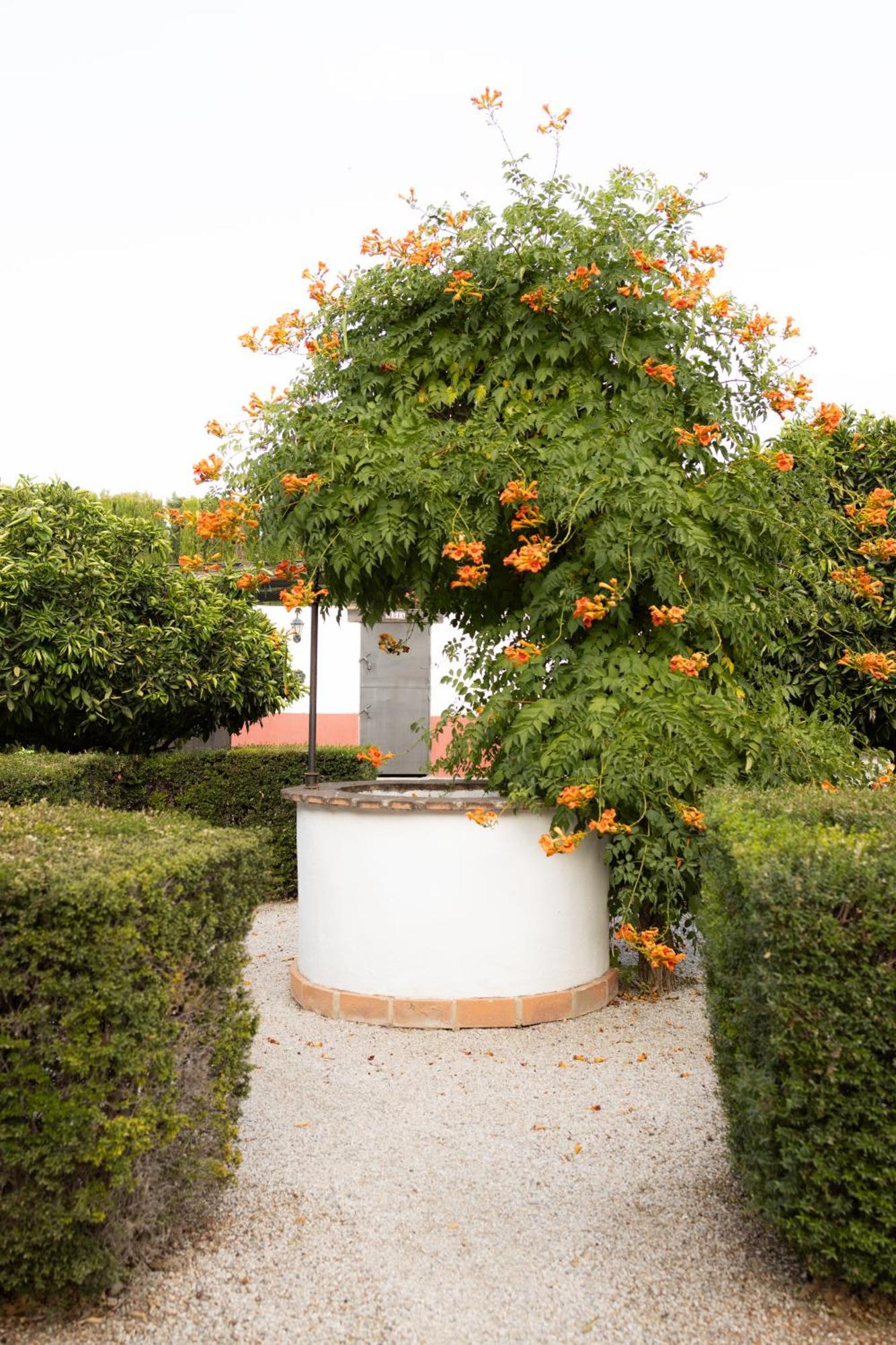 La Cuadra, Finca A Los Pies De Sierra Nevada, A 10 Minutos Del Centro, Piscina, Jardin, Barbacoa La Zubia  Eksteriør bilde